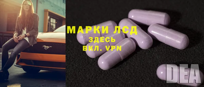 сколько стоит  Городец  нарко площадка наркотические препараты  Лсд 25 экстази ecstasy 